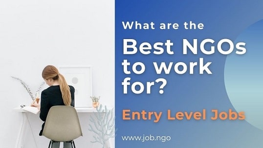 what are the best ngos to work for - entry level jobs